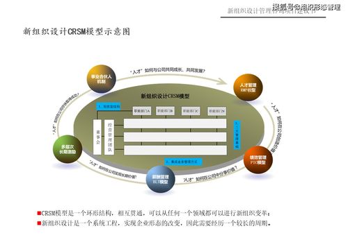 新組織設(shè)計(jì)管理咨詢(xún)項(xiàng)目 一體化策劃與公關(guān)服務(wù)建議書(shū)